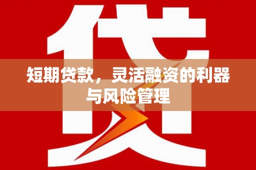 深州短期贷款，灵活融资的利器与风险管理