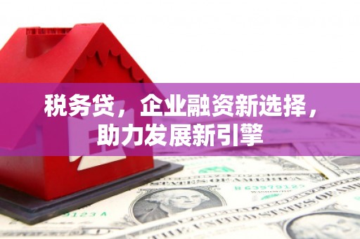 深州税务贷，企业融资新选择，助力发展新引擎