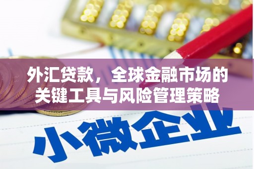 深州外汇贷款，全球金融市场的关键工具与风险管理策略