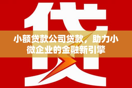 深州小额贷款公司贷款，助力小微企业的金融新引擎
