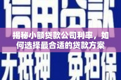 深州揭秘小额贷款公司利率，如何选择最合适的贷款方案