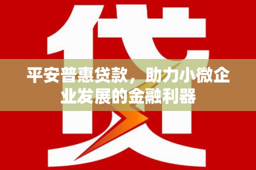 深州平安普惠贷款，助力小微企业发展的金融利器