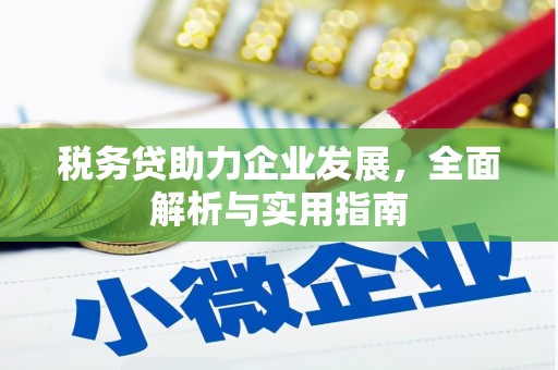 深州税务贷助力企业发展，全面解析与实用指南