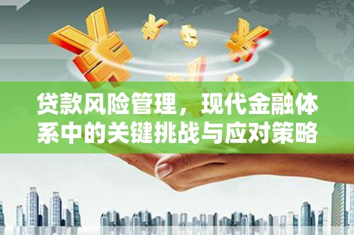 深州贷款风险管理，现代金融体系中的关键挑战与应对策略