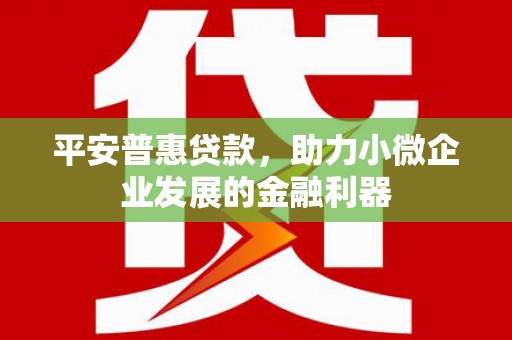 深州平安普惠贷款，助力小微企业发展的金融利器