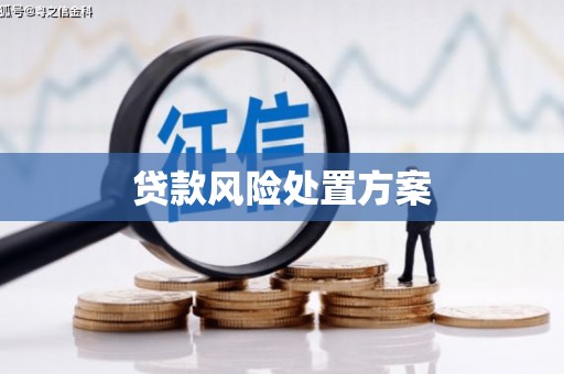 深州贷款风险处置方案