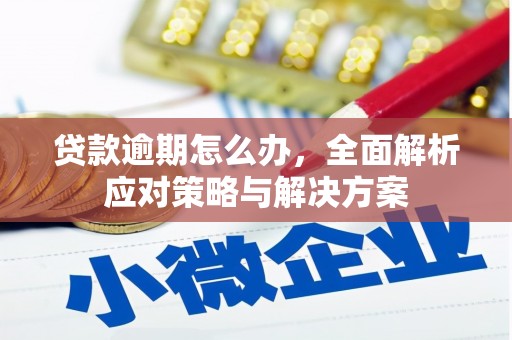 深州贷款逾期怎么办，全面解析应对策略与解决方案